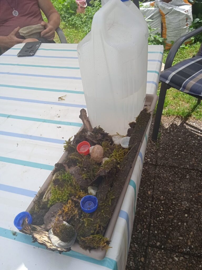 Fertige Bienentränke aus der Nähe: Kanister als Wasserspender, Moos, Steine, Schneckenhäuser und Flaschendeckel als Tränkstellen