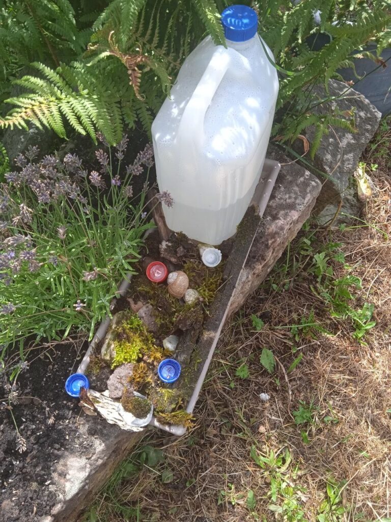 Die fertige Bienentränke aufgestellt im Beet unter einem Farn, daneben Lavendel