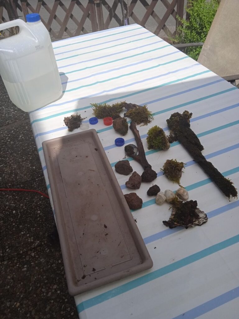 Bastelmaterial für die Bienentränke: Moos, Lavasteine, Rinde, Holz, ein Wasserkanister und eine längliche Schale