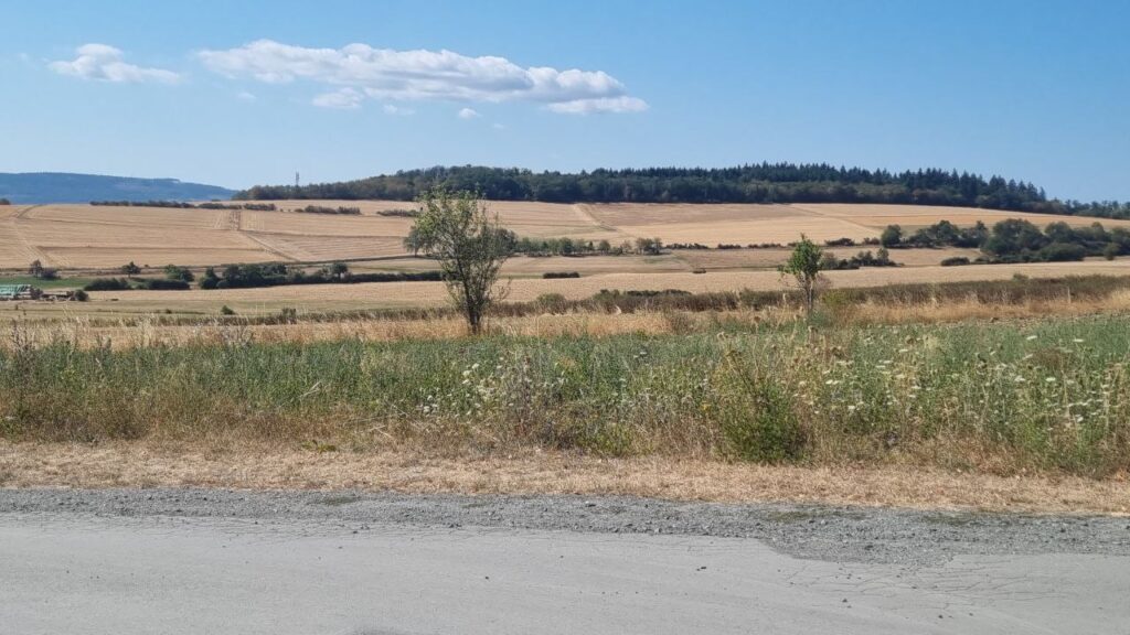 Weite Sommerfelder unter blauem Himmel bei Eschbach
