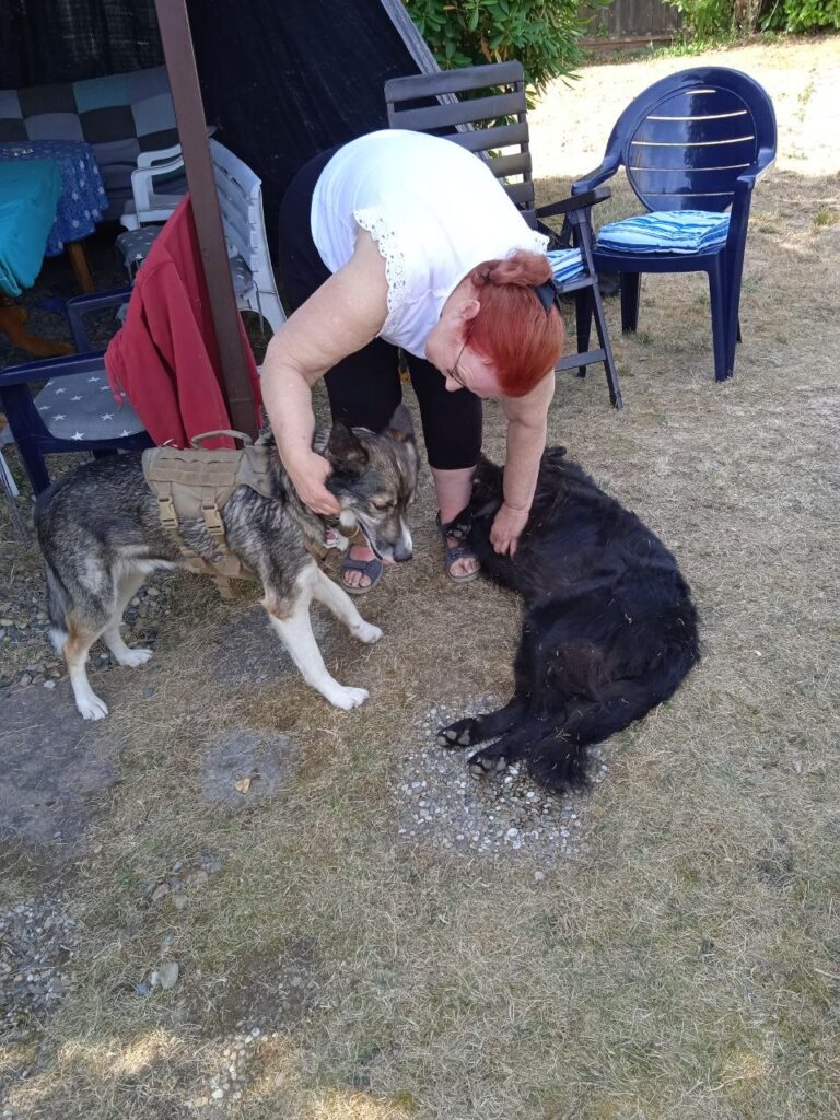 Eine Frau krault zwei Hunde, die im Gras liegen und stehen